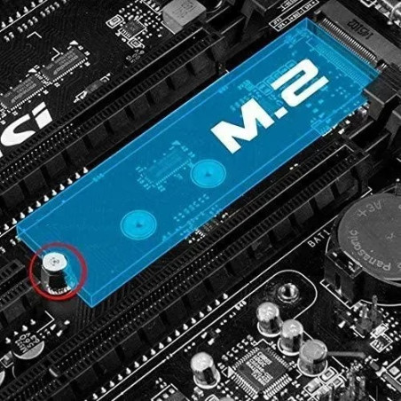 TORNILLO + SEPARADOR M.2 MONTAJE SSD DISCO SOLIDO NVME PCIE