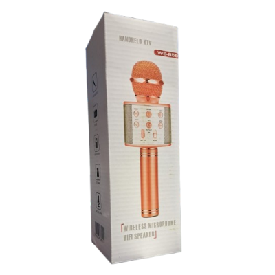 MICROFONO PARLANTE WS-585 INALAMBRICO RECARGABLE PARA KARAOKE