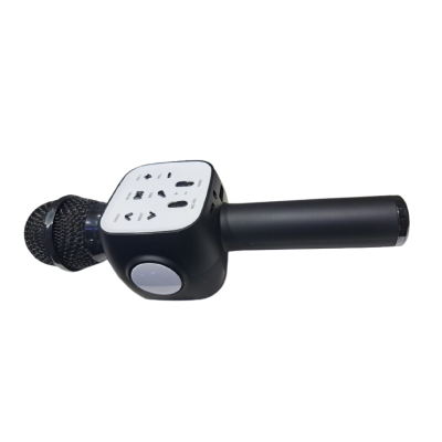 MICROFONO PARLANTE INALAMBRICO RECARGABLE PARA KARAOKE